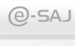 saj ce|e saj ce consulta.